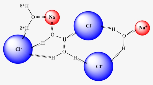 "  Src="solvation05 - Solvation Of Nacl In Water, HD Png Download, Free Download